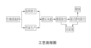 生物質(zhì)鍋爐及其煙氣治理工藝流程